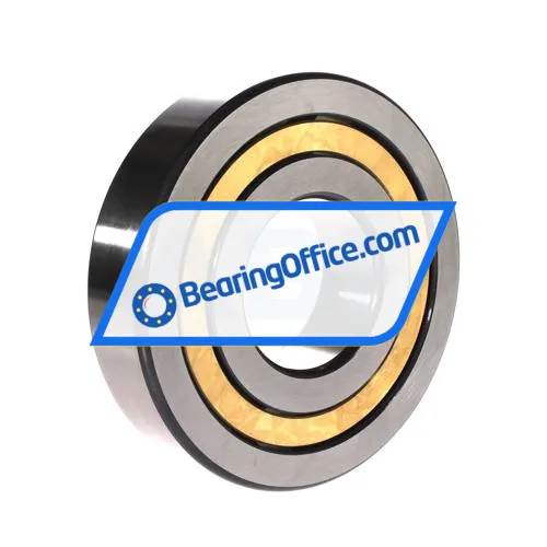 SKF SRV-NJ413M bearing image 2