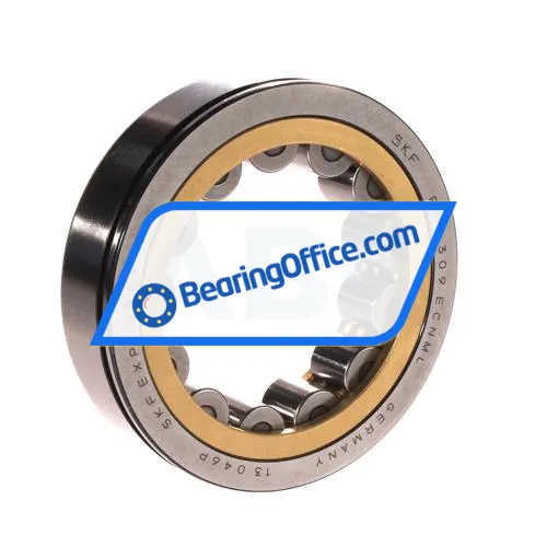 SKF RNU309ECNML