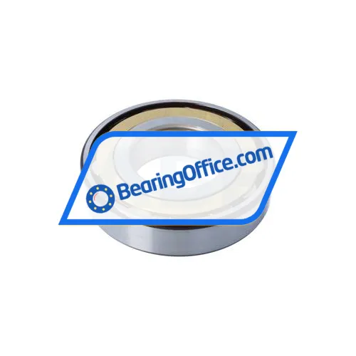 SKF N318ECM bearing image 2