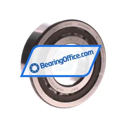 SKF NUP310ECP/C3