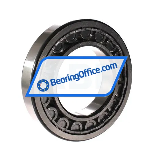 SKF NU219ECJ bearing image 2