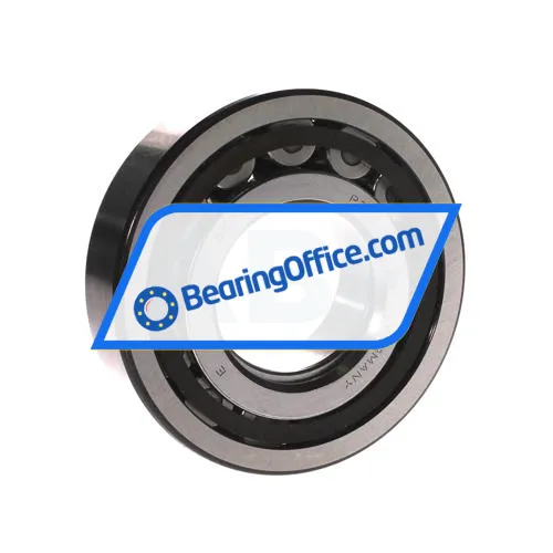 SKF NUP311ECP bearing image 2