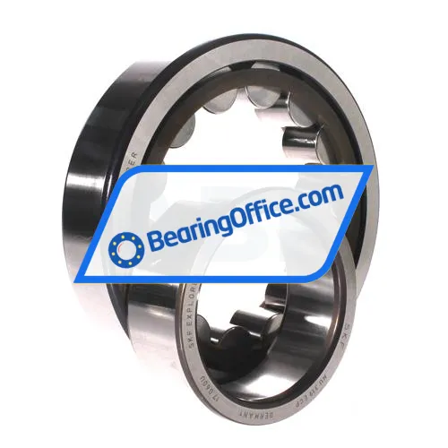 SKF NU319ECP bearing image 3