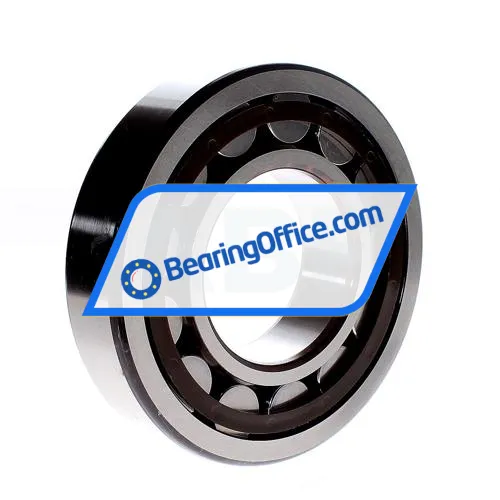 SKF NJ318ECP bearing image 3