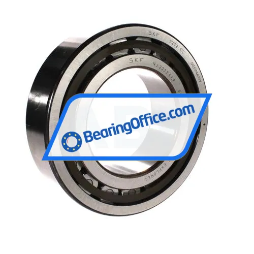 SKF NJ2222ECP