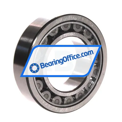 SKF NJ2213ECJ bearing image 2