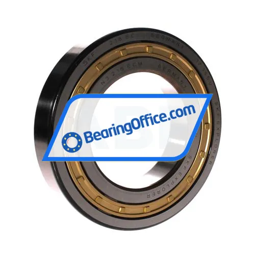SKF NJ218ECM