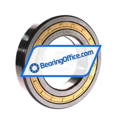 SKF NUP219ECM/C3VA301