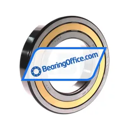 SKF NUP219ECM/C3VA301 rulman resim 2