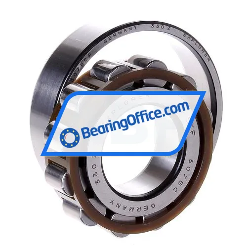 SKF N307ECP bearing image 2