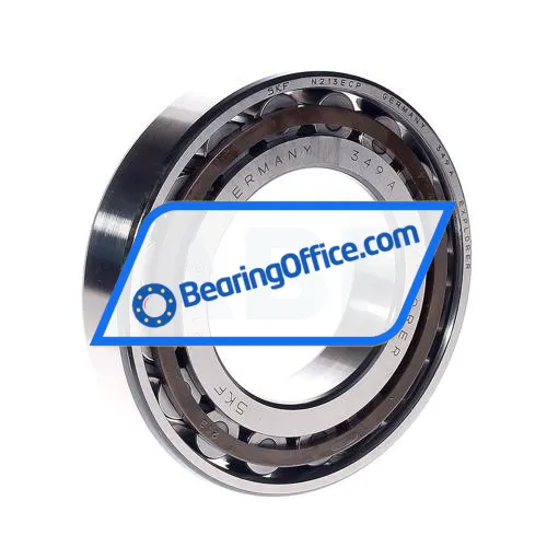 SKF N213ECP