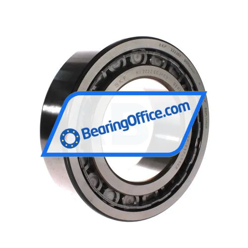 SKF NJ2222ECJ/C3