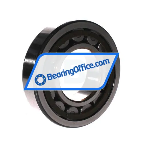SKF NJ315ECP/C3 bearing image 2