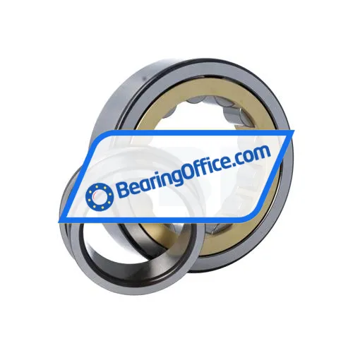 SKF NJ311ECM/C3 bearing image 4