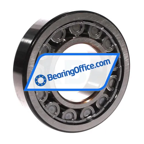 SKF NJ312ECJ/C3 bearing image 2