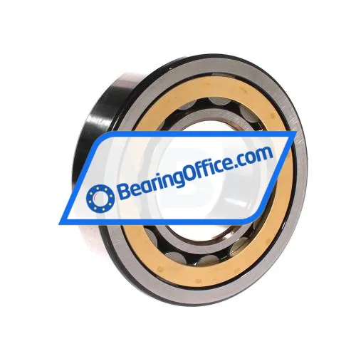 SKF NJ313ECM/C3 bearing image 3