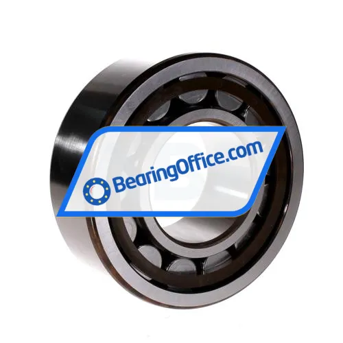 SKF NJ2315ECP bearing image 2