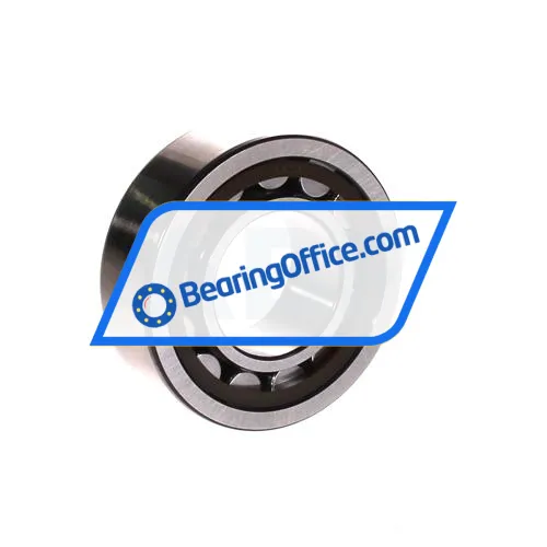 SKF NJ2206ECP/C3 bearing image 2