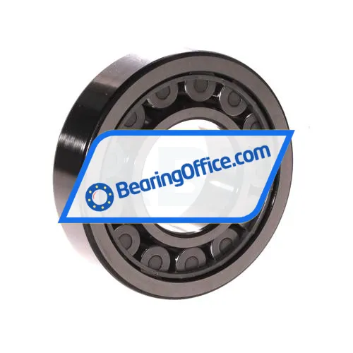 SKF NJ309ECJ bearing image 2