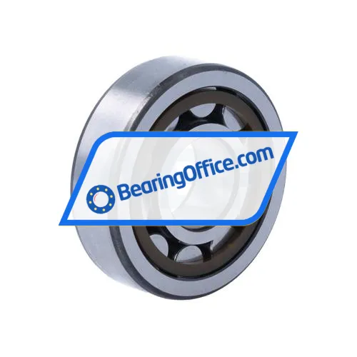 SKF NJ304ECP/C3 bearing image 2