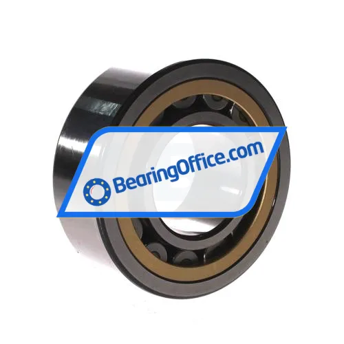 SKF NJ2311ECML/C3 bearing image 3