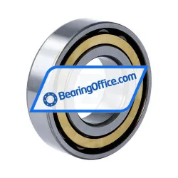 NSK NF206EM rulman resim 2