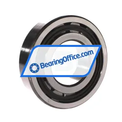 SNR NJ313E G15 rulman resim 2