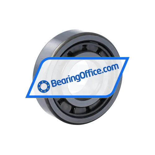 NSK NJ305EWC3 bearing image 2