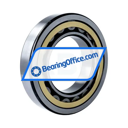 NSK NU219EMC3 bearing image 2