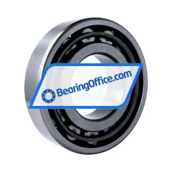 NSK NF318W C3 rulman resim 2