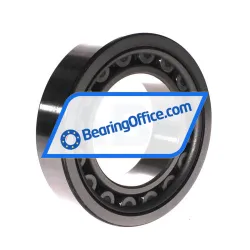 NSK NU2215W rulman resim 2