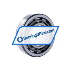 NTN NU313C3 rulman resim 2