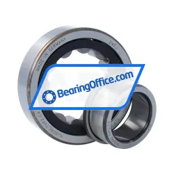 SLF Fraureuth NJ306E-TVP2-C4 rulman resim 3