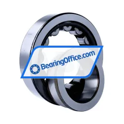 NSK NJ316WC3 rulman resim 3