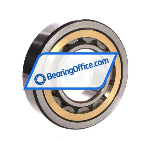 NSK NU313EM bearing image 2