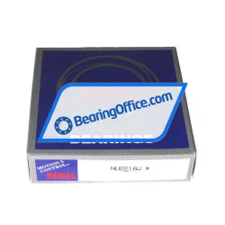 NSK NU2218W rulman resim 4