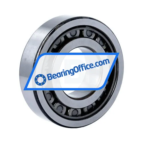 NSK NJ309EWC3 bearing image 2