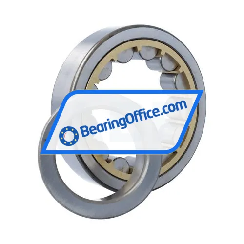 NTN NJ316EG1C4 bearing image 3