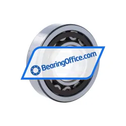 NSK NU309ETC3 rulman resim 2