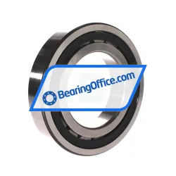 SNR NJ219E G15 rulman resim 2