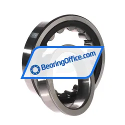 SNR NJ219E G15 rulman resim 3