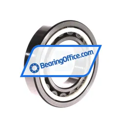 NSK NU213ET7CG62 rulman resim 2