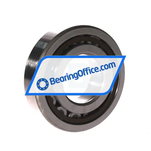 Nachi NUP310EG bearing image 2