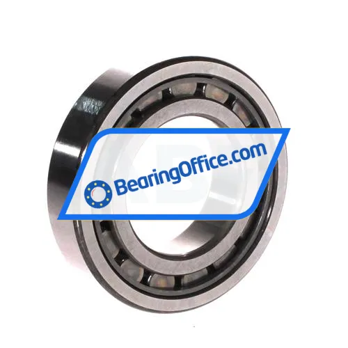 NSK NJ209EWC3 bearing image 2