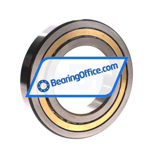 NSK NJ219EM bearing image 2