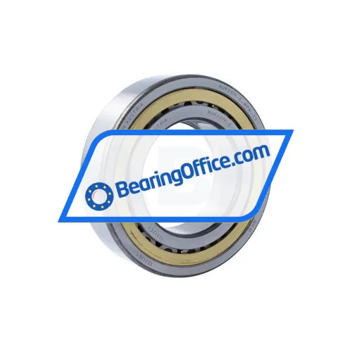 NKE NUP2219-E-MPA-C3