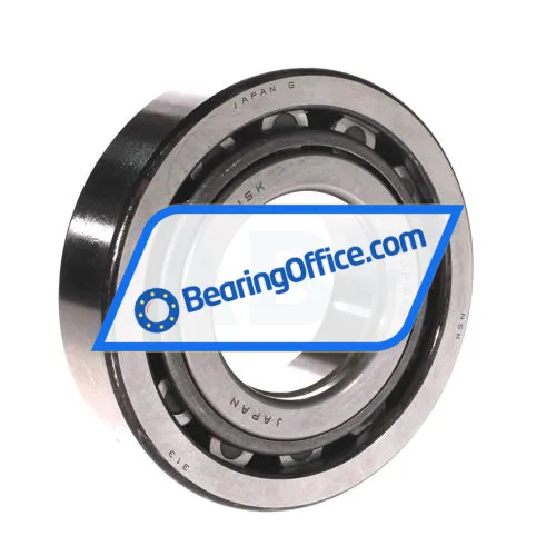 NSK NUP313W
