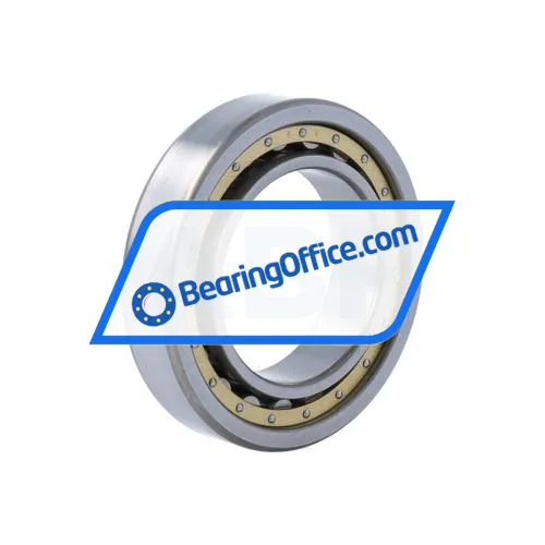 NSK NU1009 bearing image 2