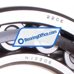 NSK NJ220ET rulman resim 2