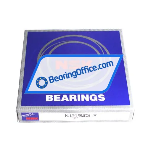 NSK NJ219WC3 bearing image 4